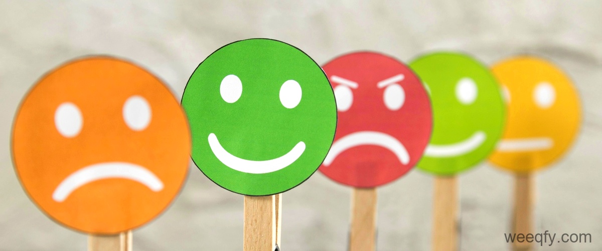¿Cómo ver el ranking en TripAdvisor? ¿Cómo ver el ranking en TripAdvisor?
